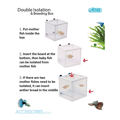 ISTA Double Isolation Breeding Box