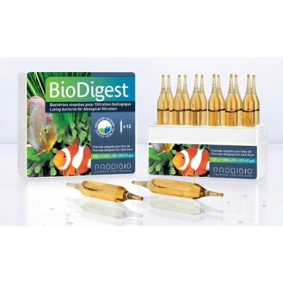 PRODIBIO Bio Digest 12 fiole
