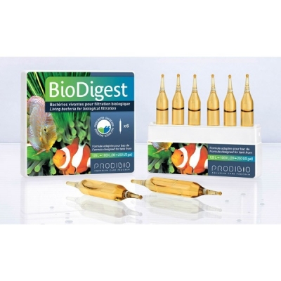 PRODIBIO Bio Digest 6 fiole
