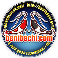 BENIBACHI